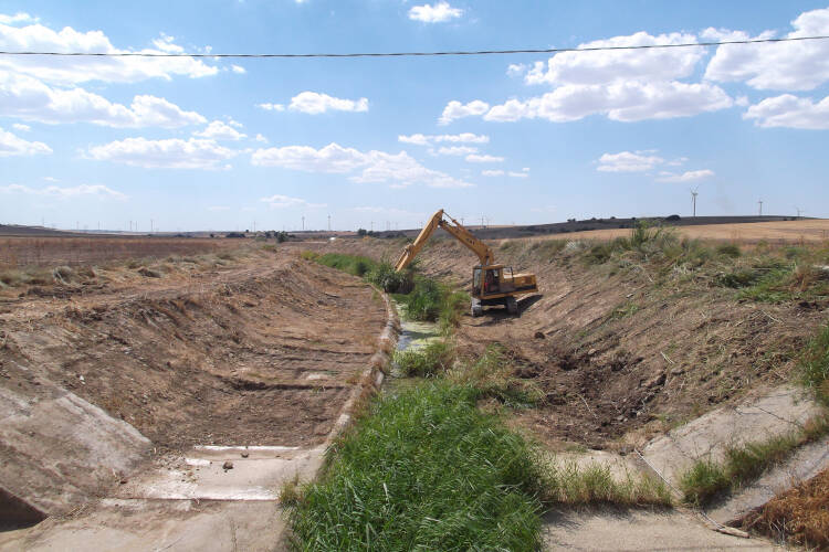 opere fluviali. ripulitura torrente dalla vegetazione